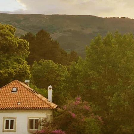 Casa Das Essencias, Quinta De Santo Antonio Covilhã Dış mekan fotoğraf